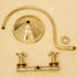 Handcrafted Brass Gooseneck Rain Shower with Square Showerhead