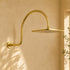 Handcrafted Brass Gooseneck Rain Shower with Square Showerhead