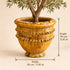 Moroccan Tamegroute Planter, Handmade Yellow Ceramic Plant Pot, Rustic Large Pottery Vase, Boho Mediterranean Decor