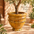 Moroccan Tamegroute Planter, Handmade Yellow Ceramic Plant Pot, Rustic Large Pottery Vase, Boho Mediterranean Decor