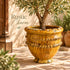 Moroccan Tamegroute Planter, Handmade Yellow Ceramic Plant Pot, Rustic Large Pottery Vase, Boho Mediterranean Decor
