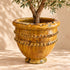 Moroccan Tamegroute Planter, Handmade Yellow Ceramic Plant Pot, Rustic Large Pottery Vase, Boho Mediterranean Decor