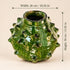 Moroccan Tamegroute Pottery Vase, Handmade Green Ceramic Spiky Vase, Sculptural Pottery, Rustic Boho Home Decor