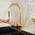 Pull-Down Kitchen Faucet with Gooseneck Spout – Unlacquered Brass