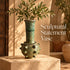 Tamegroute Vase, Moroccan Green Pottery, Handmade Ceramic Vase, Boho Decor, Artisan Home Accent