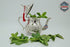 Moroccan Mint Tea Set : Silver Tray, Teapot, Integrated Filter, 3 Tea Glasses, Sugar holder decorated, Handmade in Morocco